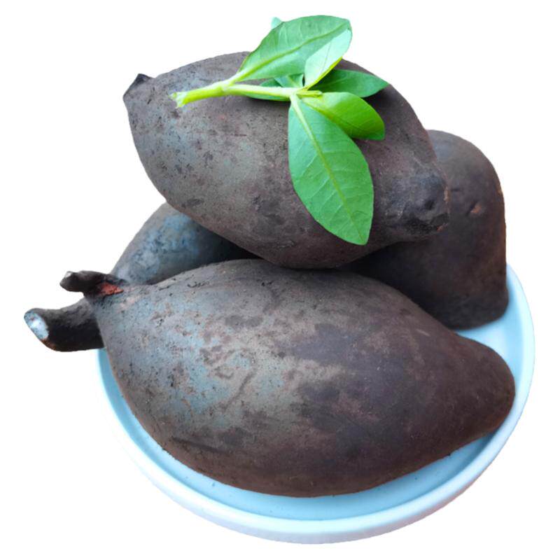 黑柄炭角菌新鲜乌灵参菌鸡枞胆