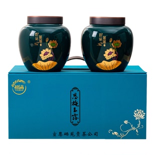 恩施玉露绿茶2025年新茶叶明前春茶硒茶特级高端送长辈丈人礼盒装