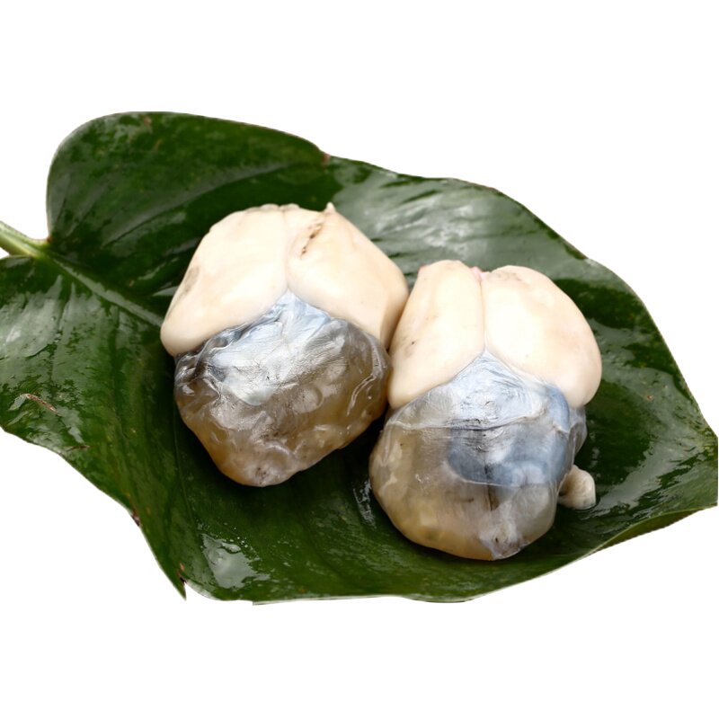 舟山野生墨鱼蛋500g大乌贼蛋咸目鱼蛋带膏宁波新鲜带膏大乌鱼蛋
