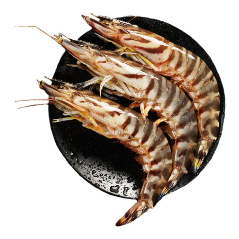 2斤特大竹节虾鲜活超大九节虾