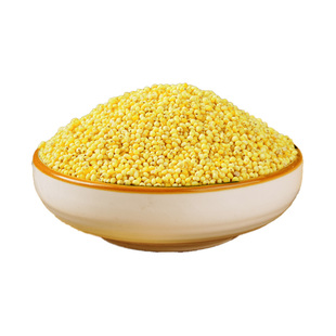 正宗东北大黄米新米5斤粘糯包粽子山西软糜子农家粗粮杂粮非真空