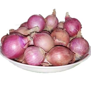 新鲜干葱头珠葱小洋葱圆葱红葱头炸葱油广东肠粉酱汁当天发货包邮