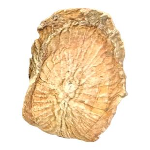 甘肃纯野生牛蒡根切片天然中药材新鲜黄金牛蒡茶牛膀磅250g克包邮