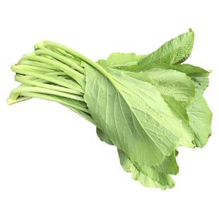 广东潮汕春菜芥蓝菜家乡新鲜蔬菜露天种植现摘现发自然阳光雨露