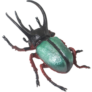 仿真南洋大兜虫模型儿童锹甲知了蟋蟀玩具蜉蝣昆虫科教育甲虫标本