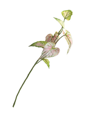 新款3D海棠叶仿真彩芋叶