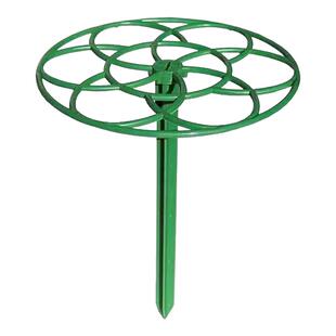 太阳花造型支架棒棒糖花架支撑杆固定器蟹爪兰嫁接支撑爬藤花架子