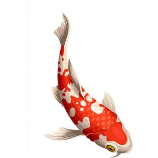 招财纳福鱼跃龙门锦鲤图案静电玻璃贴画厨房阳台防撞装饰创意贴纸