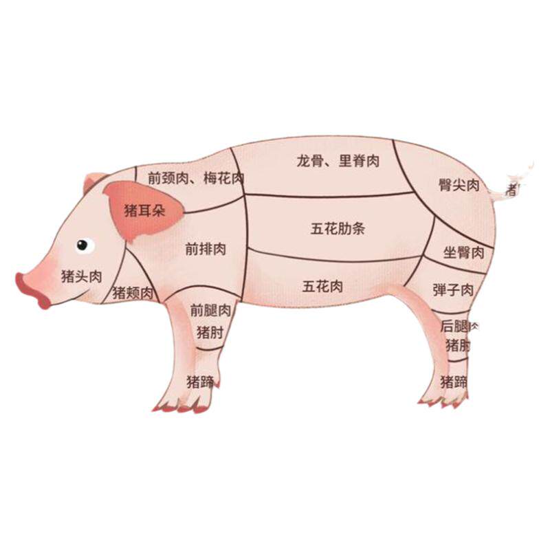 东北黑猪肉农家散养现杀猪肉