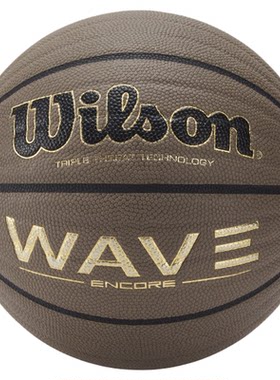 Wilson/威尔胜WAVE防尘篮球