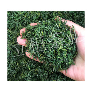 2025年新茶泰顺高山云雾三杯香茶叶明前绿茶春茶炒青香茶