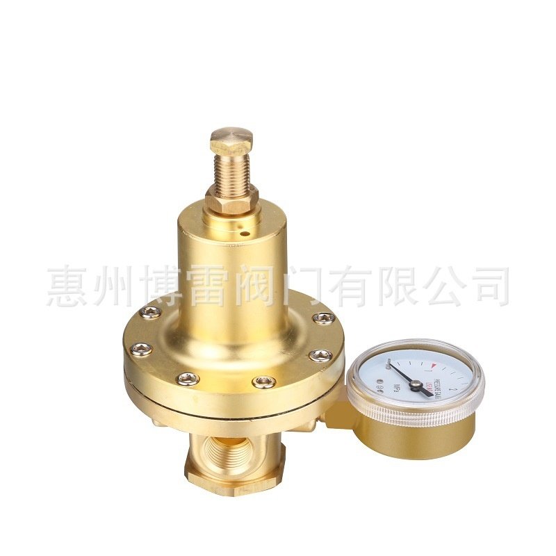 氧气减压器NPT1/2黄铜大流量减压器TR-P315不锈钢高压气体减压器