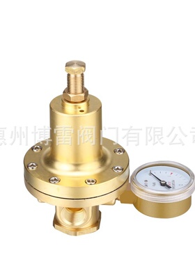 氧气减压器NPT1/2黄铜大流量减压器TR-P315不锈钢高压气体减压器