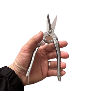 罗定不锈钢果剪新款摘果剪采柑桔剪蔬果剪沙糖剪刀圆头果子稀果剪