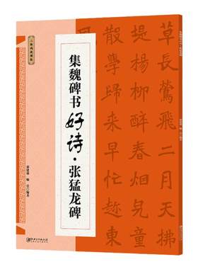 集魏碑书好诗张猛龙碑