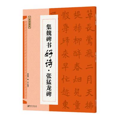 集魏碑书好诗张猛龙碑