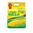 十月稻田黄糯玉米棒25年新东北低脂香甜拉丝