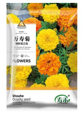 万寿菊花种子易活庭院盆栽寿禾