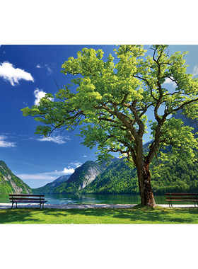 自然风景卧室客厅风景画可防水