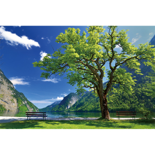 自然山水风景画墙纸海报自粘贴纸草原壁画壁纸卧室客厅背景墙贴画