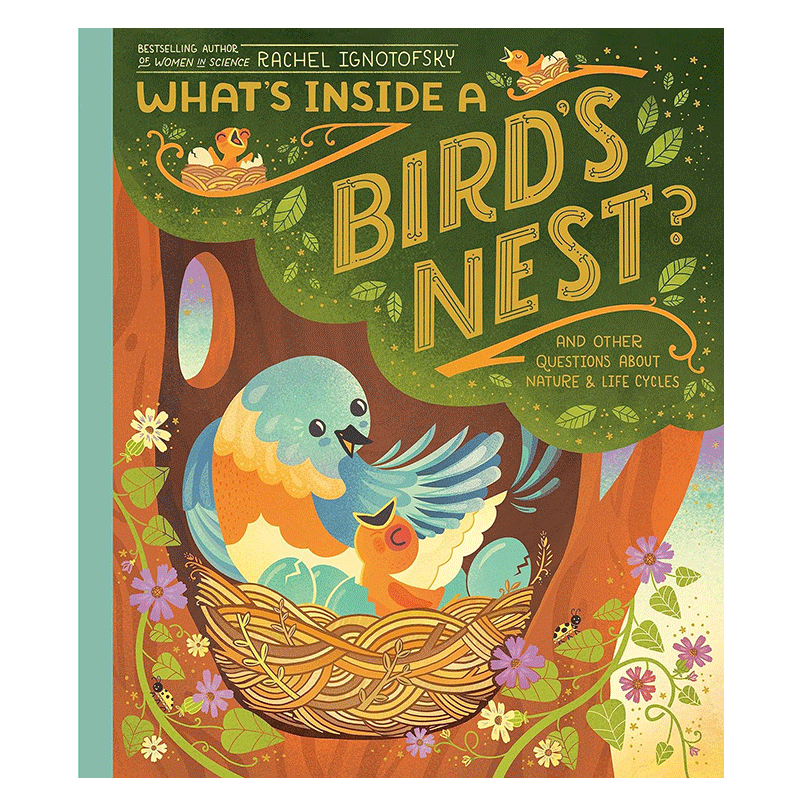 鸟巢的构造 Rachel Ignotofsky Whats Inside A Birds Nest英文原版 儿童科普绘本 动物图画书 精装进口童书4-7岁 又日新