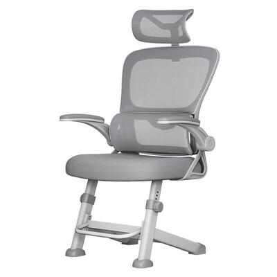 三梦家用人体工学护腰电脑椅