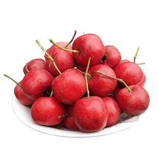 新鲜山楂果大山楂鲜果红果鲜山楂大果山里红冰糖葫芦用现摘生山楂