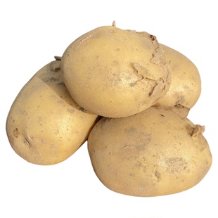 湖北荆州松滋现挖小土豆马铃薯洋芋新鲜黄心小土豆洋芋