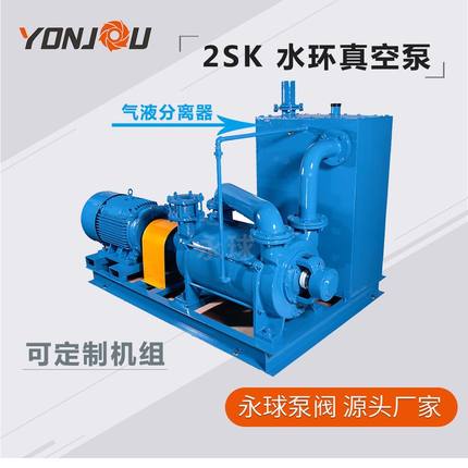 2SK水环式真空泵气体输送液环真空无油循环泵机组气液分离真空罐