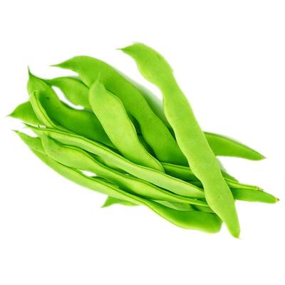 新鲜扁豆芸豆高原热带露天蔬菜