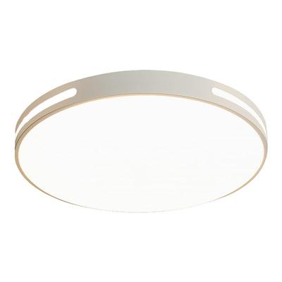 LED护眼超亮吸顶灯智能灯具