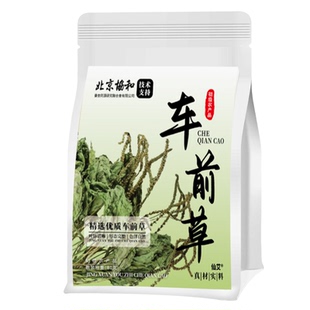 车前草中药材泡水喝的功效与作用风野尿生酸新鲜痛袋泡养生茶包降