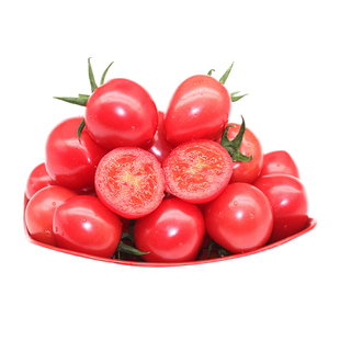 蔬菜种籽小番茄苗红圣女果菜种子黑黄千禧樱桃小西红柿苗蔬菜种孑