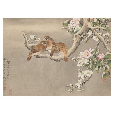 清沈铨工笔花卉草虫翎毛图册微喷