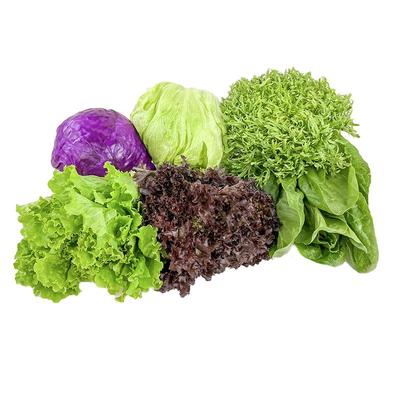 绿食者新鲜即食蔬果沙拉