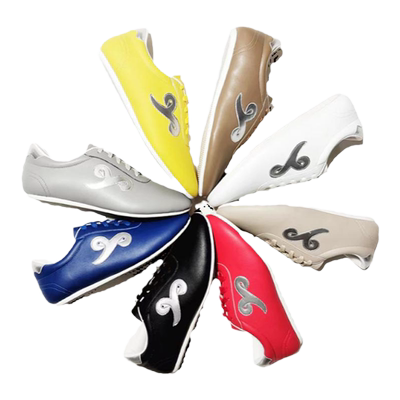 龙拳竞技彩色软皮祥云太极武术鞋