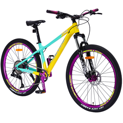 艾路德风云380山地自行车动作车