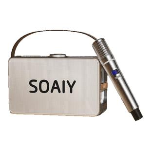 索爱K55 蓝牙音响大功率无线低音炮直播声卡无线户外K歌专业音响