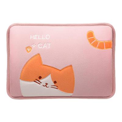 先科充电式防爆热水袋