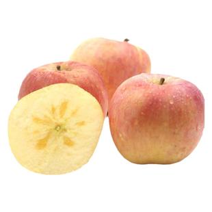 自家果园正宗徐州丰县大沙河丑苹果新鲜苹果红富士当季直发包邮