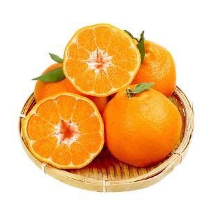 柠满园正宗四川眉山春见耙耙柑当季新鲜水果应季桔子粑粑柑橘子