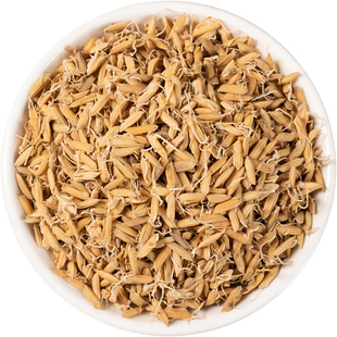 稻芽中药材500克/250克生稻芽蘖米 稻蘖另售炒稻芽麦芽谷芽双芽水