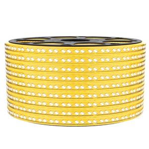 led灯带户外防水220v客厅外墙专用工程室外暖光白暖色庭院带灯条