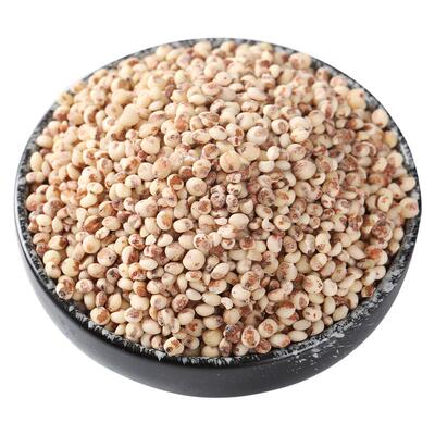 新粘糯红高粱米包粽子