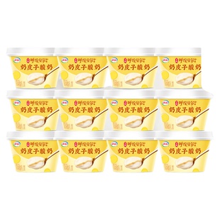 伊利宫酪奶皮子酸奶138g*12杯低温厚奶皮风味酸乳呼伦贝尔菌株