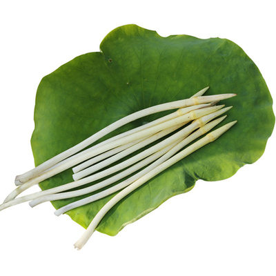 藕带新鲜纯笔苫洪湖蔬菜藕尖顺丰