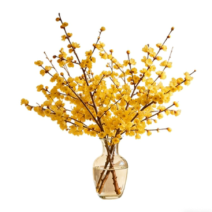 腊梅鲜花家用鲜切带花苞干枝腊梅枝条四季水培花卉插花室内绿植物