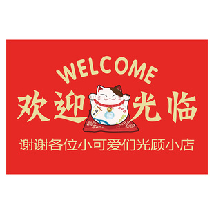 欢迎光临入户门丝圈地垫门口进门地毯门垫迎宾地毯门店脚垫子定制