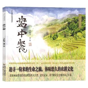 于虹呈盘中餐绘本二年级下学期必读6到8岁以上小学一三四年级上学必看图画书中小学阅读指导目录中国少年儿童出版社追寻米的生命旅