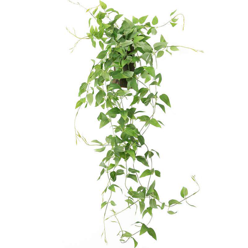 阿楹 墙上仿真植物装饰壁挂花盆 吊垂藤阳台创意墙面绿植小悬挂件